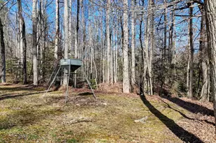 1852 Hwy 325, Blairsville, GA 30512 - Photo 41