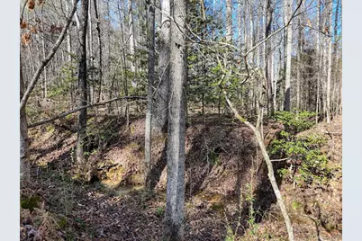 1852 Highway 325, Blairsville, GA 30512 - Photo 43