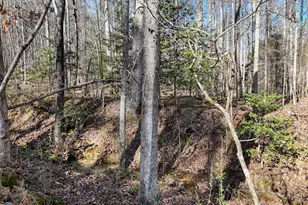 1852 Hwy 325, Blairsville, GA 30512 - Photo 43