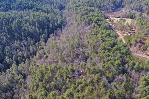 483 Vineyard Creek Way, Murphy, NC 28906 - Photo 55