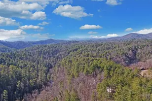 483 Vineyard Creek Way, Murphy, NC 28906 - Photo 61