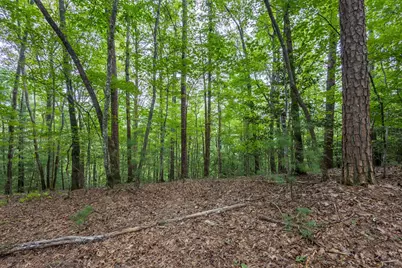Lot 26 Persimmon Road, Murphy, NC 28906 - Photo 5