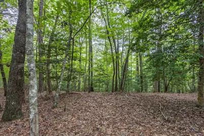 Lot 26 Persimmon Road, Murphy, NC 28906 - Photo 7