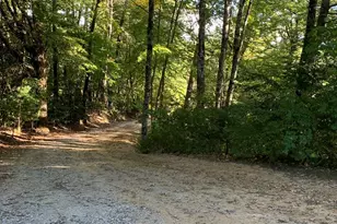 437 Shields Creek Rd, Topton, NC 28781 - Photo 7