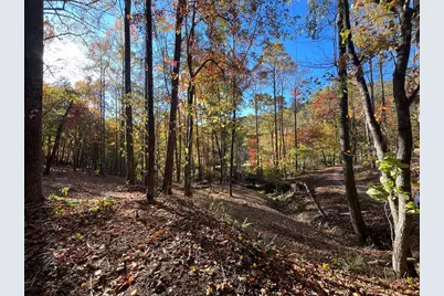 1 Bartin Ridge, Murphy, NC 28906 - Photo 23
