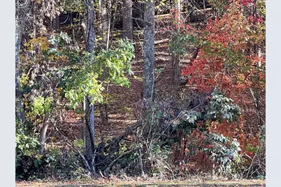 1 Bartin Ridge, Murphy, NC 28906 - Photo 21
