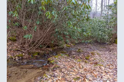 1221 Sam Cove, Robbinsville, NC 28771 - Photo 37