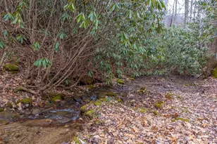 1221 Sam Cove, Robbinsville, NC 28771 - Photo 37
