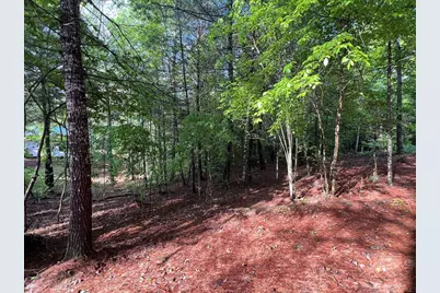 99 Conestoga Trail, Murphy, NC 28906 - Photo 11
