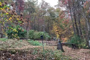 55 Laurel Spring Dr, Murphy, NC 28906 - Photo 39