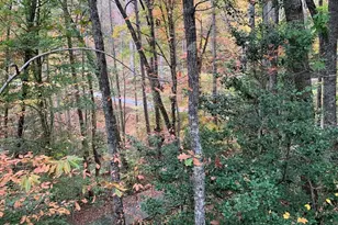 55 Laurel Spring Dr, Murphy, NC 28906 - Photo 27