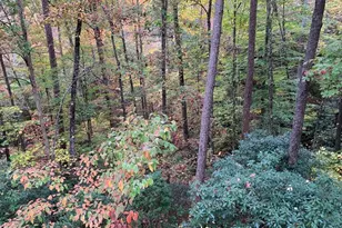 55 Laurel Spring Dr, Murphy, NC 28906 - Photo 19