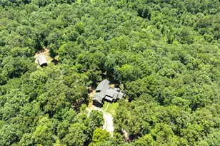 381 Ross Dr, Mineral Bluff, GA 30559 - Photo 9