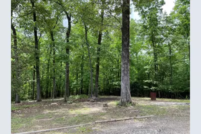 381 Ross Drive, Mineral Bluff, GA 30559 - Photo 11