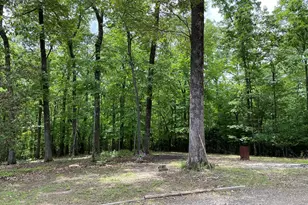 381 Ross Dr, Mineral Bluff, GA 30559 - Photo 11