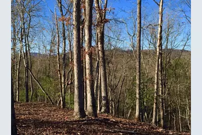 Lot #94 River Mountain Road, Murphy, NC 28906 - Photo 3