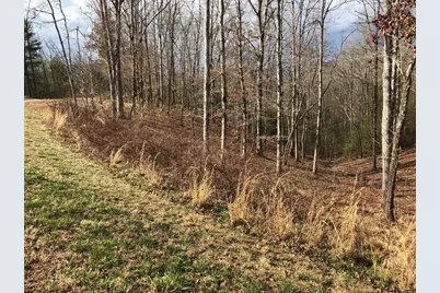 Lot #94 River Mountain Road, Murphy, NC 28906 - Photo 9