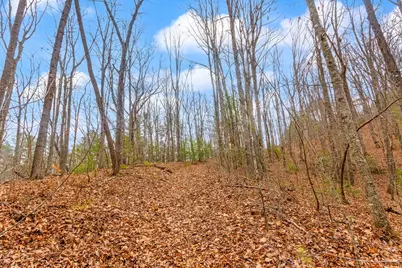 3.45 Ac Guy Eller Road, Murphy, NC 28906 - Photo 5