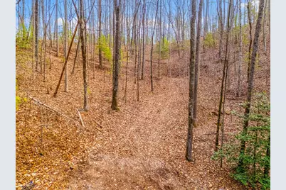 3.45 Ac Guy Eller Road, Murphy, NC 28906 - Photo 3
