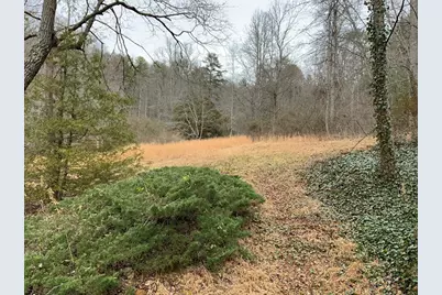 1600 Long Branch Road, Marble, NC 28905 - Photo 39