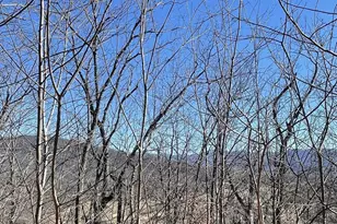 60 & 61J Mountain Harbour, Hayesville, NC 28904 - Photo 1