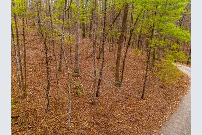 1.03 Ac Guy Eller Road, Murphy, NC 28906 - Photo 19