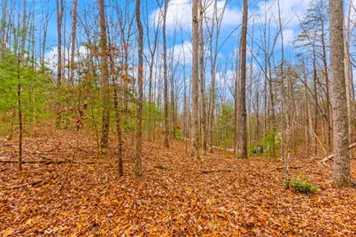 1.03 Ac Guy Eller Road, Murphy, NC 28906 - Photo 11