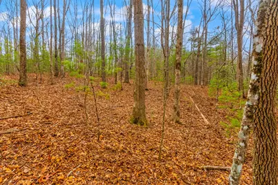 1.03 Ac Guy Eller Road, Murphy, NC 28906 - Photo 9