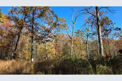 62 Green Cove Spur, Murphy, NC 28906 - Photo 3