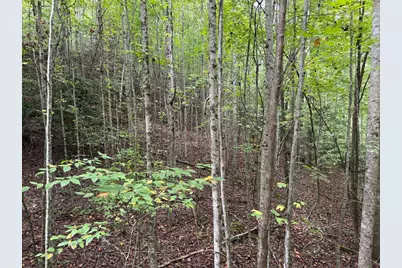 0 Reserve Estates, Murphy, NC 28906 - Photo 7