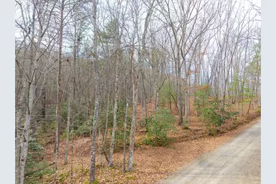 52B Forest View Drive, Murphy, NC 28906 - Photo 5