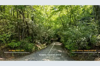1621 Granny Squirrel Drive, Andrews, NC 28901 - Photo 5