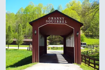 1621 Granny Squirrel Drive, Andrews, NC 28901 - Photo 3