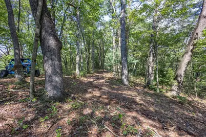 23.59 Ac Chestnut Flats Road, Andrews, NC 28901 - Photo 19