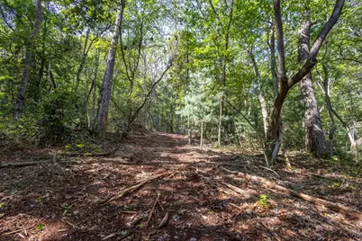 23.59 Ac Chestnut Flats Road, Andrews, NC 28901 - Photo 27