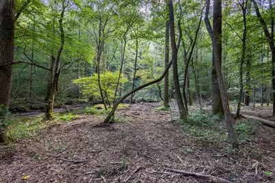 23.59 Ac Chestnut Flats Road, Andrews, NC 28901 - Photo 7