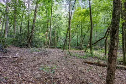 23.59 Ac Chestnut Flats Road, Andrews, NC 28901 - Photo 13