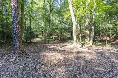 23.59 Ac Chestnut Flats Road, Andrews, NC 28901 - Photo 31