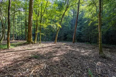 23.59 Ac Chestnut Flats Road, Andrews, NC 28901 - Photo 43