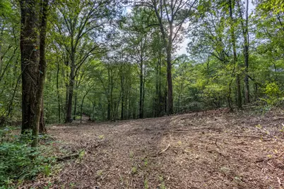23.59 Ac Chestnut Flats Road, Andrews, NC 28901 - Photo 45