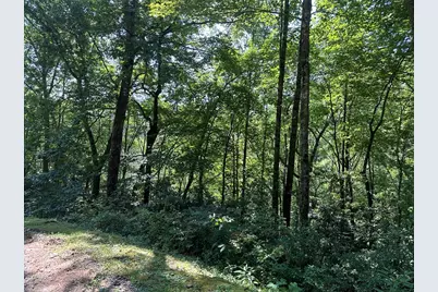 00 Briggs Cove Road, Robbinsville, NC 28771 - Photo 3
