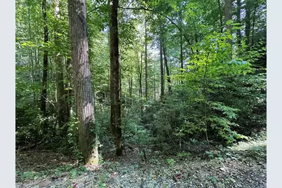 00 Briggs Cove Road, Robbinsville, NC 28771 - Photo 1