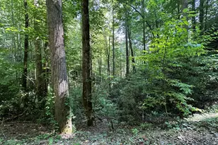 00 Briggs Cove Rd, Robbinsville, NC 28771 - Photo 1