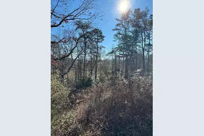 000 Mistletoe Ridge, Murphy, NC 28906 - Photo 29