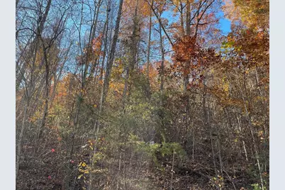 36 54C Ash Branch Circle, Hayesville, NC 28904 - Photo 3