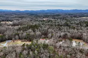 643 Number 20 Mine Rd, Blue Ridge, GA 30555 - Photo 51