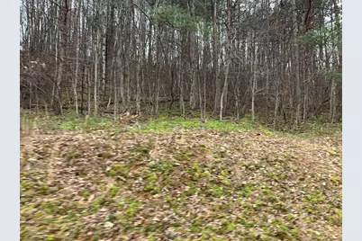 Lot 20 Wolf Ridge Lane, Murphy, NC 28906 - Photo 7
