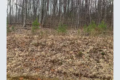 Lot 20 Wolf Ridge Lane, Murphy, NC 28906 - Photo 5