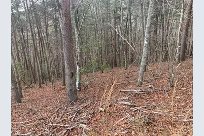 Lot 20 Wolf Ridge Lane, Murphy, NC 28906 - Photo 19