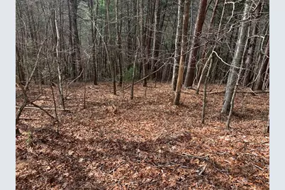 Lot 20 Wolf Ridge Lane, Murphy, NC 28906 - Photo 31